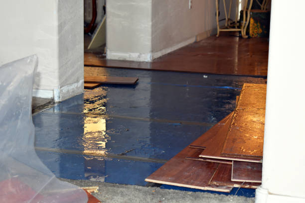 Professional Water Damage Restoration technician working in Lake Andes, SD